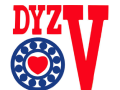 Подшипники DYZV